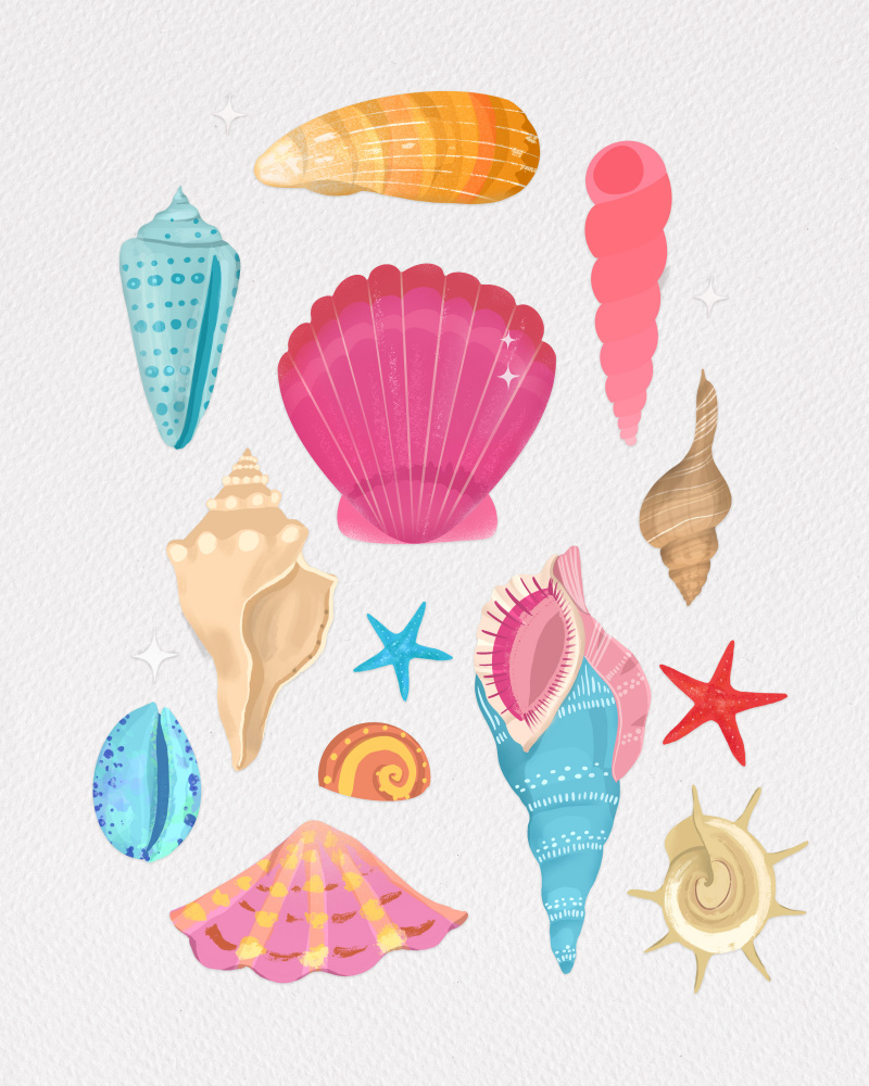 Seashells a Petra Lizde