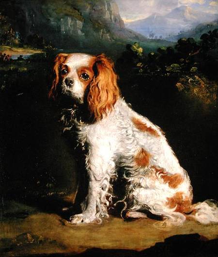 A King Charles Spaniel a Philip Reinagle