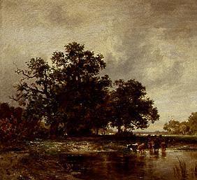 Woodland landscape with cattles at the watering-place