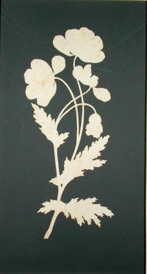Flower (collage on paper) a Phillip Otto Runge