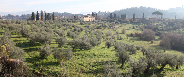 Paesaggio Collinare vicino a Firenze 2013 a Andrea Piccinini