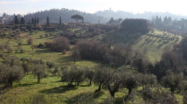 Paesaggio Collinare nei dintorni di Firenze 2013