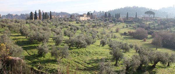 Paesaggio Collinare vicino a Firenze 2013