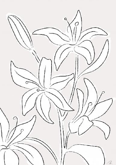 Lillies No 03