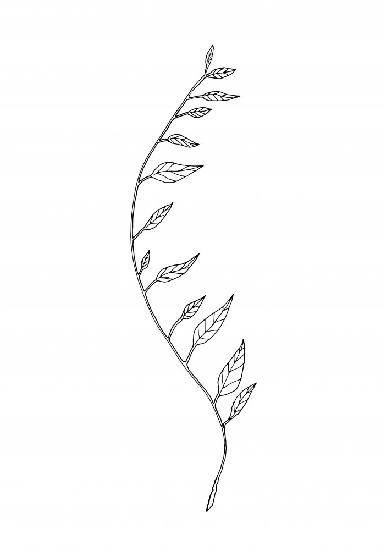 Wavy Branch White