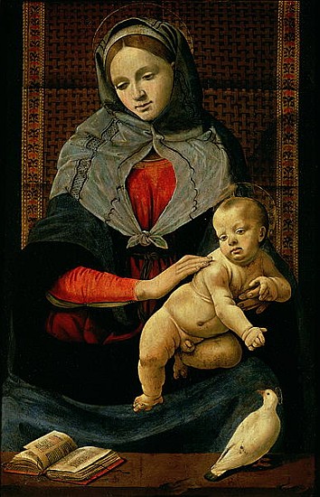 Madonna and Child with a Dove a Piero di Cosimo