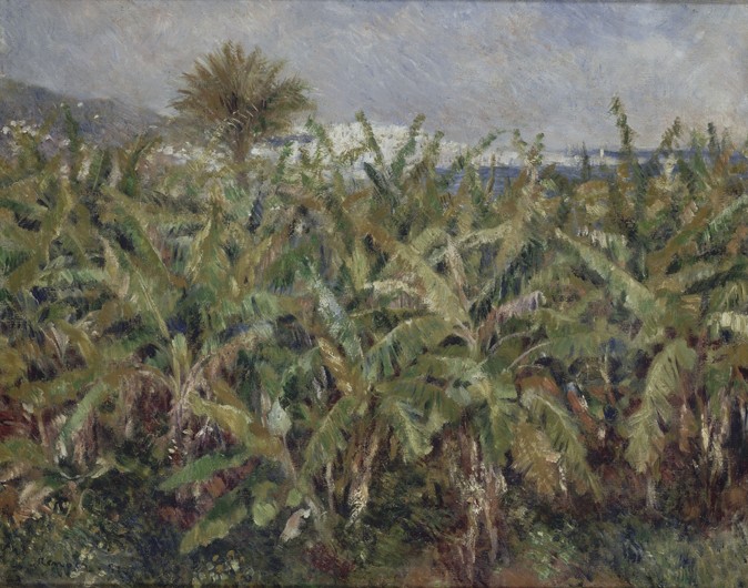 Field of Banana Trees (Champ de bananiers) a Pierre-Auguste Renoir