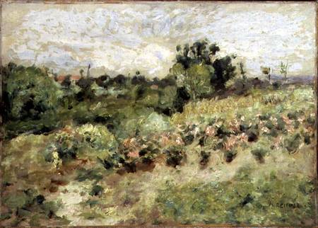 Field of Roses a Pierre-Auguste Renoir