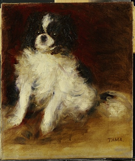 Tama a Pierre-Auguste Renoir