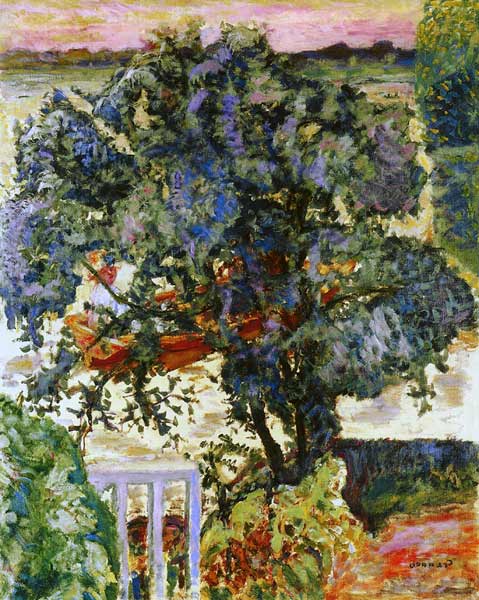 Tree by the River a Pierre Bonnard