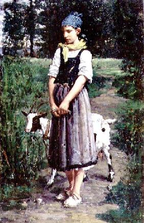 A Young Goatherd
