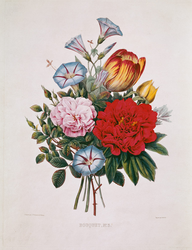 Bouquet N ° 3 with tulip, pink, winches and peony a Pierre Joseph Redouté