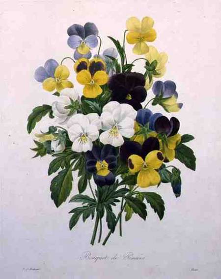 Bouquet of Pansies, engraved by Victor, from 'Choix des Plus Belles Fleurs' a Pierre Joseph Redouté