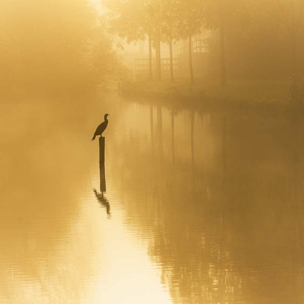  waiting for the sun .......... a Piet Haaksma