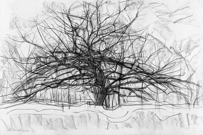 Study for The Grey Tree a Piet Mondrian