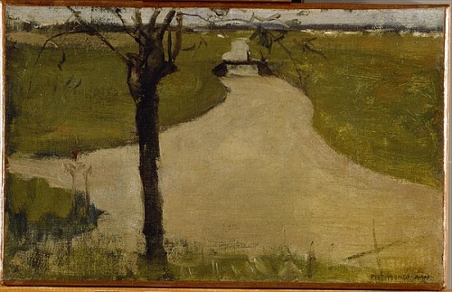 Irrigation Ditch with Young Pollarded Willow a Piet Mondrian