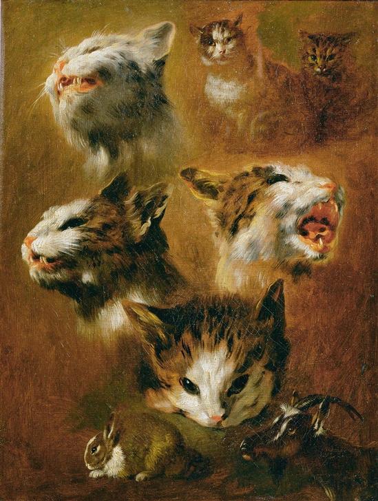 Tierstudien: Katzen, Kaninchen und Ziege a Pieter Boel