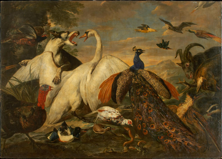 Fighting Animals as Allegory of the Combat between Virtue and Vice a Pieter Boel