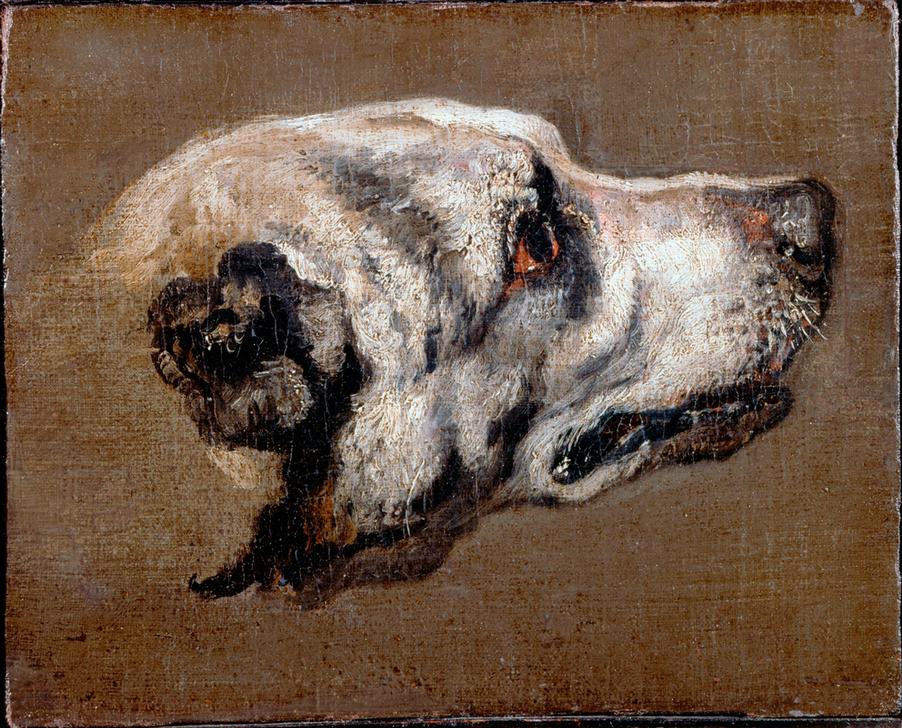 Kopf eines Hundes a Pieter Boel