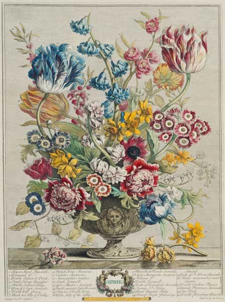 April, from 'Twelve Months of Flowers', by Robert Furber (c.1674-1756), engraved by Henry Fletcher ( a Pieter Casteels