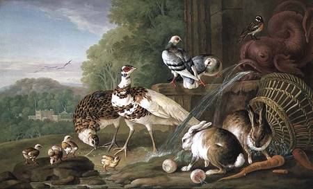 Birds and Rabbits a Pieter Casteels
