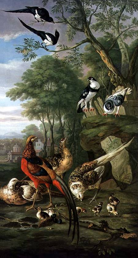 Cock pheasant, hen pheasant and chicks and other birds in a classical landscape a Pieter Casteels