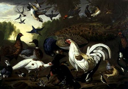 The Fable of the Raven with a Peacock, Cockerel, Woodpecker, Jay, Woodcock, and Magpie a Pieter Casteels