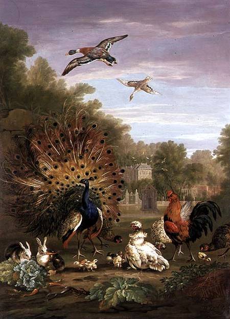 Peacock and Rabbits in a Landscape a Pieter Casteels