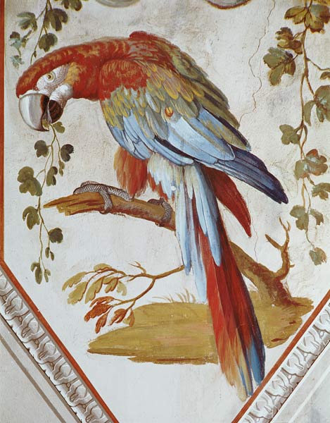 A Parrot a Pietro Rotati
