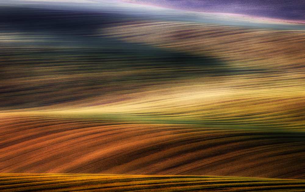 autumn fields a Piotr Krol (Bax)