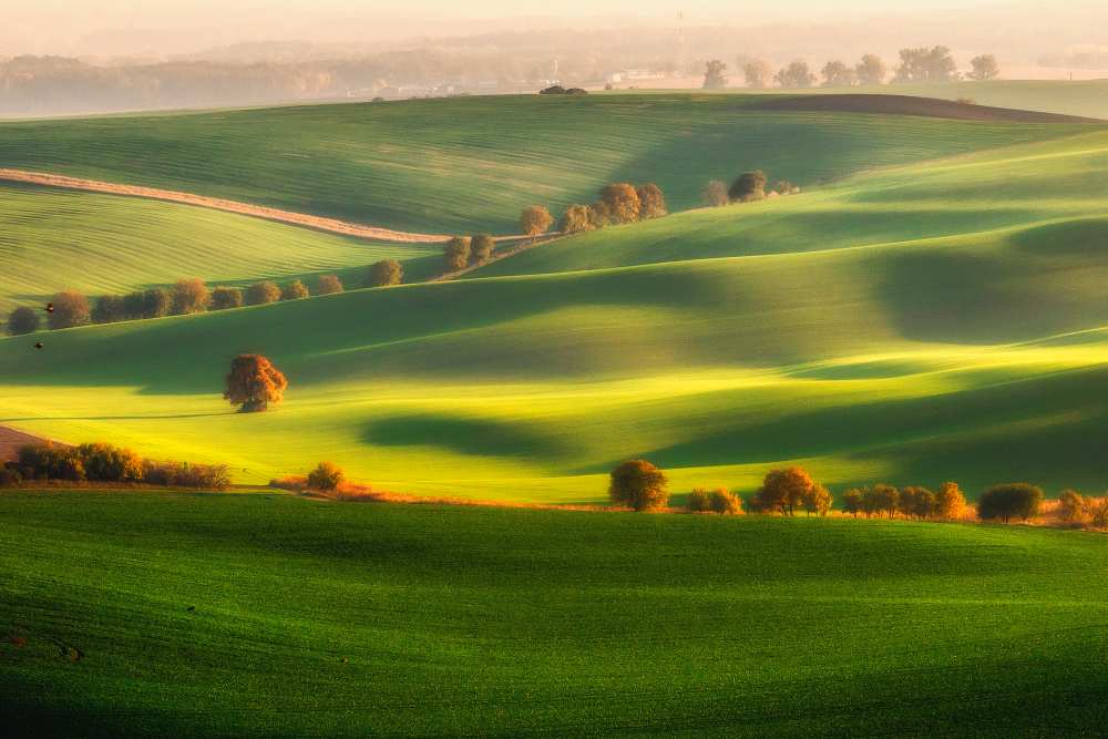 Green fields a Piotr Krol (Bax)