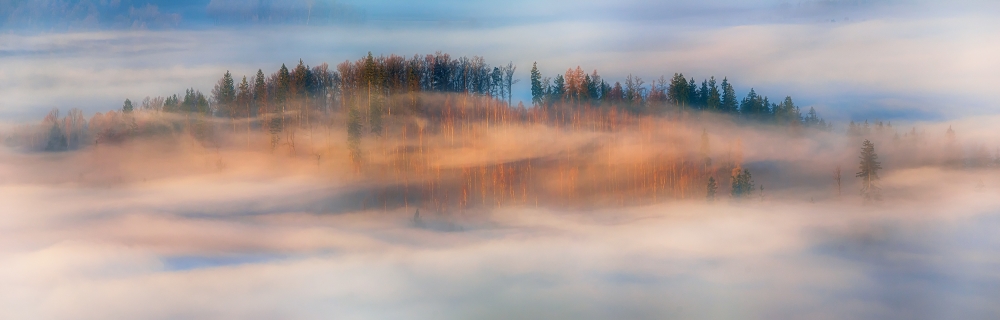 in the morning mists a Piotr Krol (Bax)