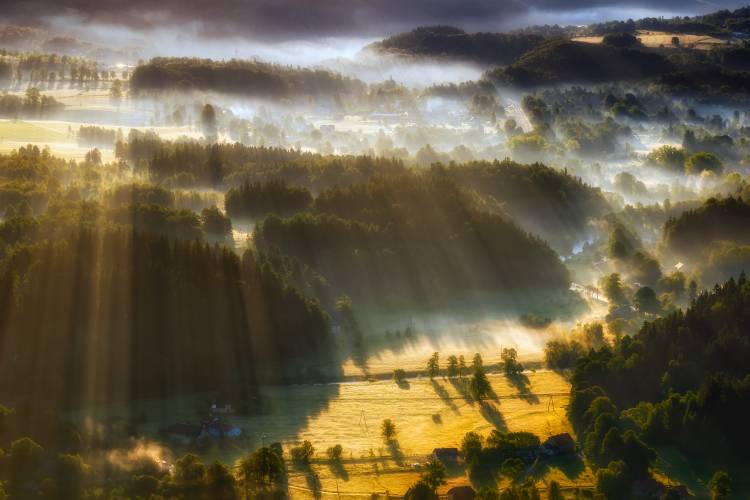 In the Morning Mists a Piotr Krol (Bax)