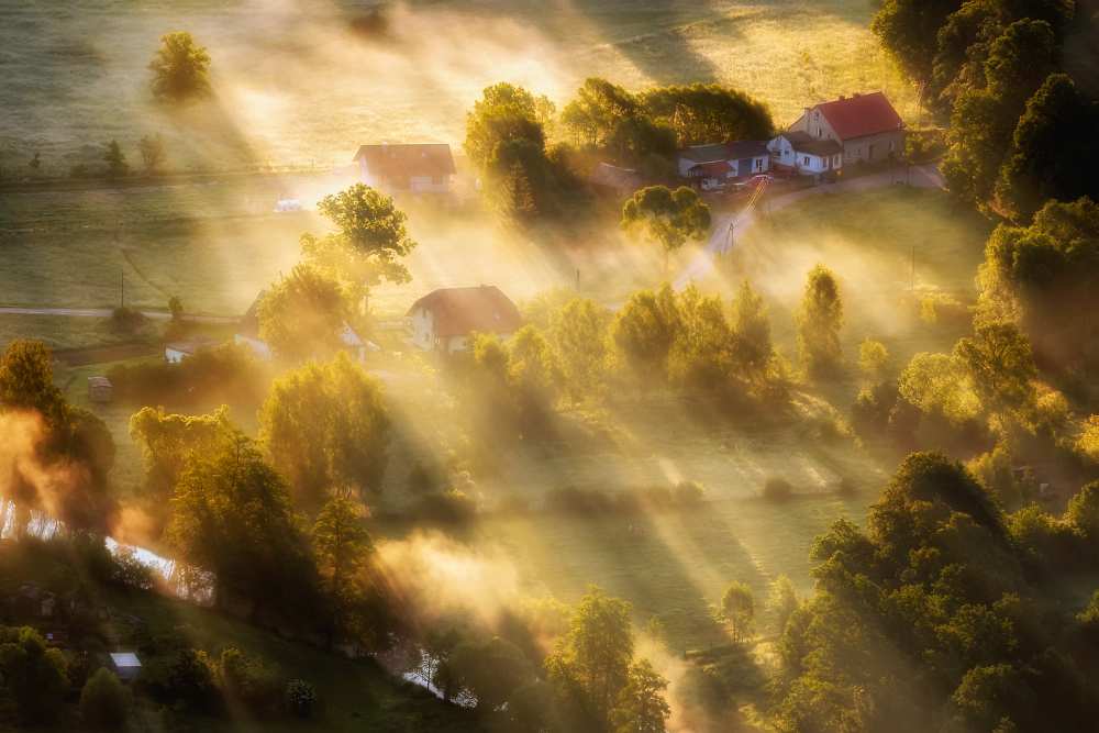 in the morning sun a Piotr Krol (Bax)