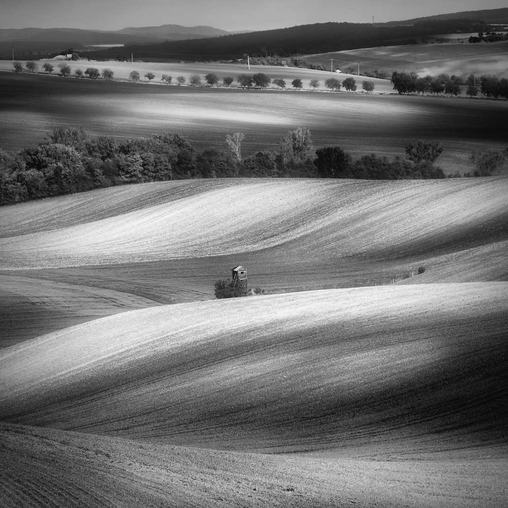 Moravian fields a Piotr Krol (Bax)