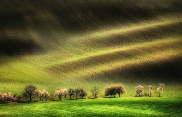 Moravian Fields a Piotr Krol (Bax)