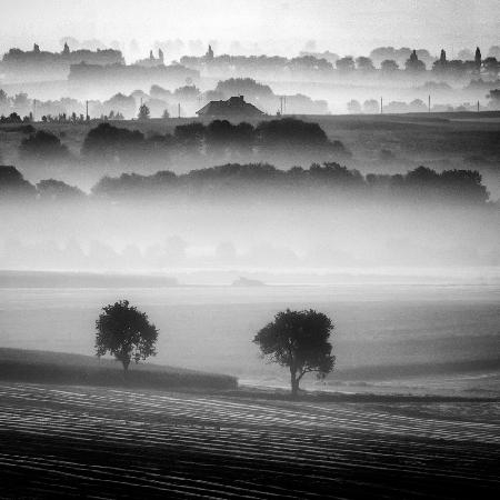 morning mists