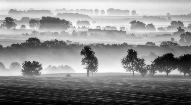 morning view a Piotr Krol (Bax)