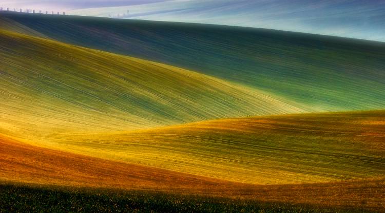 Spring fields a Piotr Krol (Bax)