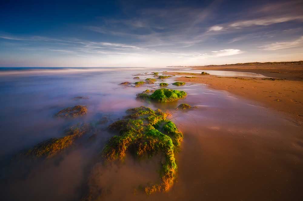 seaside a Piotr Krol (Bax)