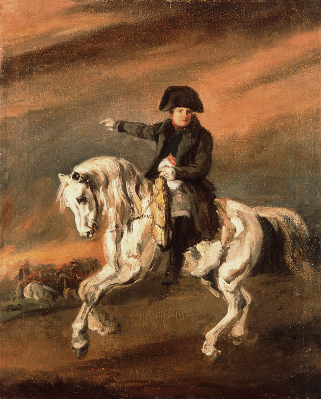 Napoleon to horse a Piotr Michalowski