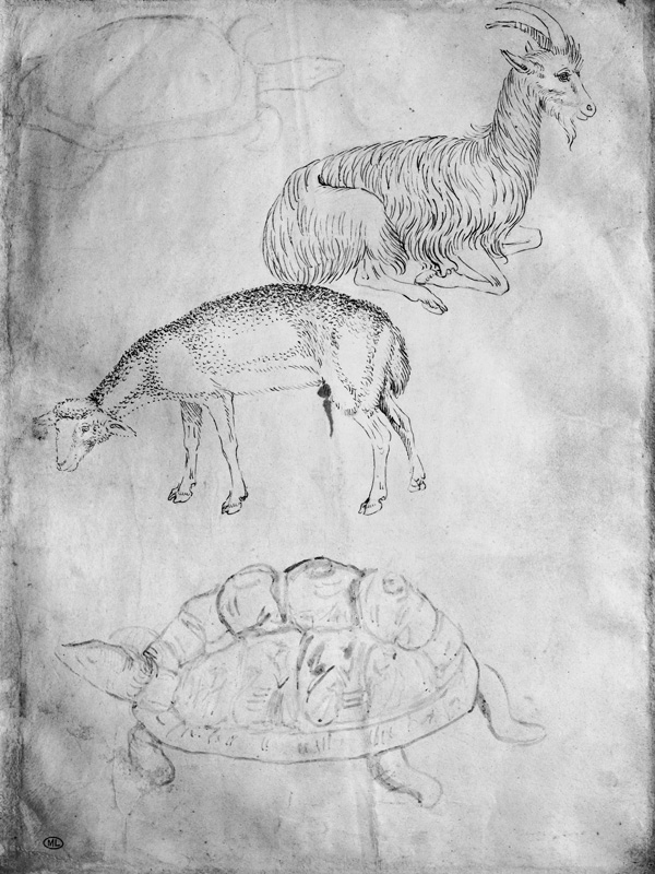 Two tortoises, goat and sheep, from the The Vallardi Album a Pisanello