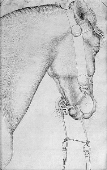 Head of a horse, from the The Vallardi Album a Pisanello