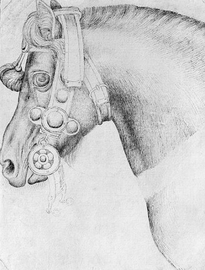 Head of a horse, from the The Vallardi Album a Pisanello