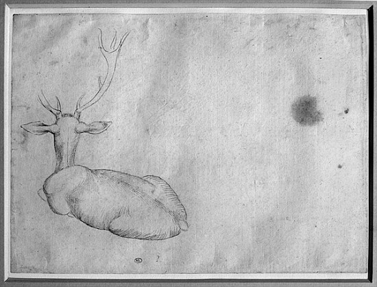 Resting stag, seen from behind, from the The Vallardi Album a Pisanello