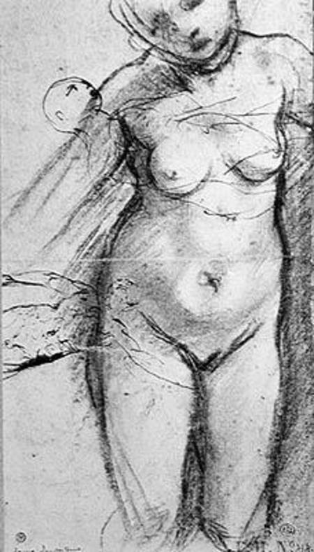 Knee Length Study of a Nude Woman a Pontormo,Jacopo Carucci da