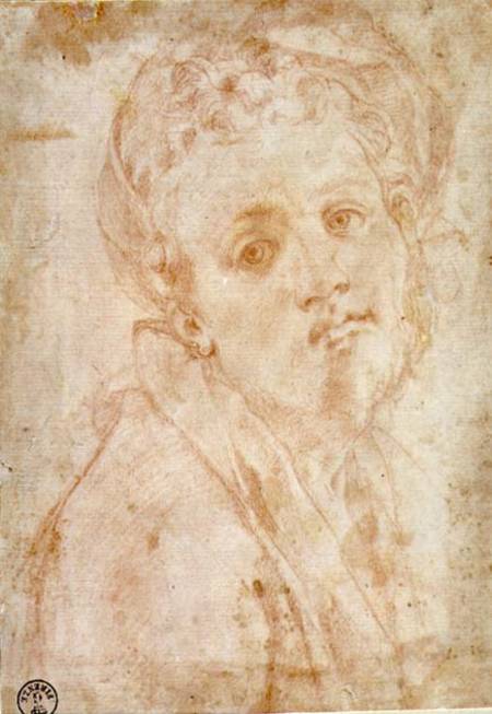 Self Portrait a Pontormo,Jacopo Carucci da