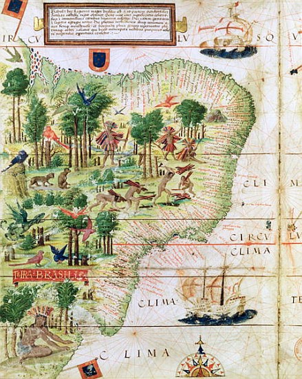 Brazil from the ''Miller Atlas'' Pedro Reinel, c.1519 (detail of 75615) a Portuguese School