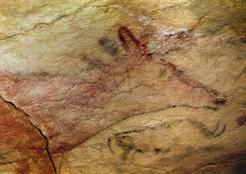 Stag from the Caves of Altamira a Prehistoric