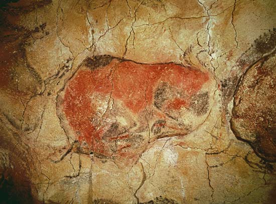 Bison from the Altamira Caves, Upper Paleolithic a Prehistoric
